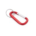 MATTHEW. Carabiner clip